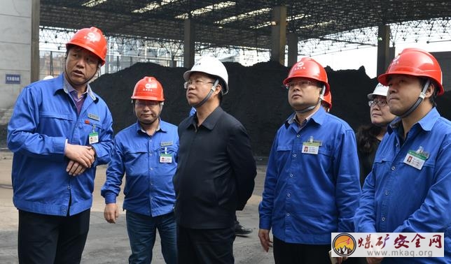 王志軍到蒲洲發(fā)電（熱電）公司檢查十九大保電工作