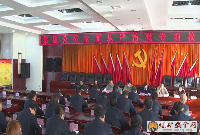 集團(tuán)黨委推進(jìn)全面從嚴(yán)治黨檢查組到潞寧公司進(jìn)行專項檢查