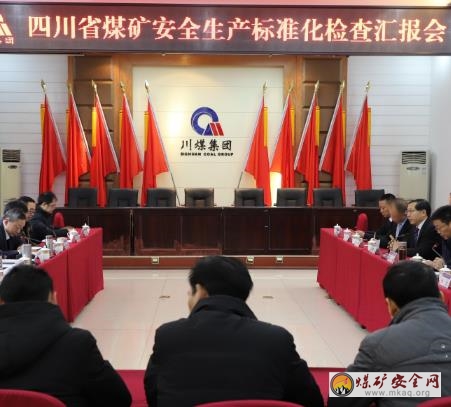 四川省煤監(jiān)局到柏林煤礦開展安全生產(chǎn)標準化檢查