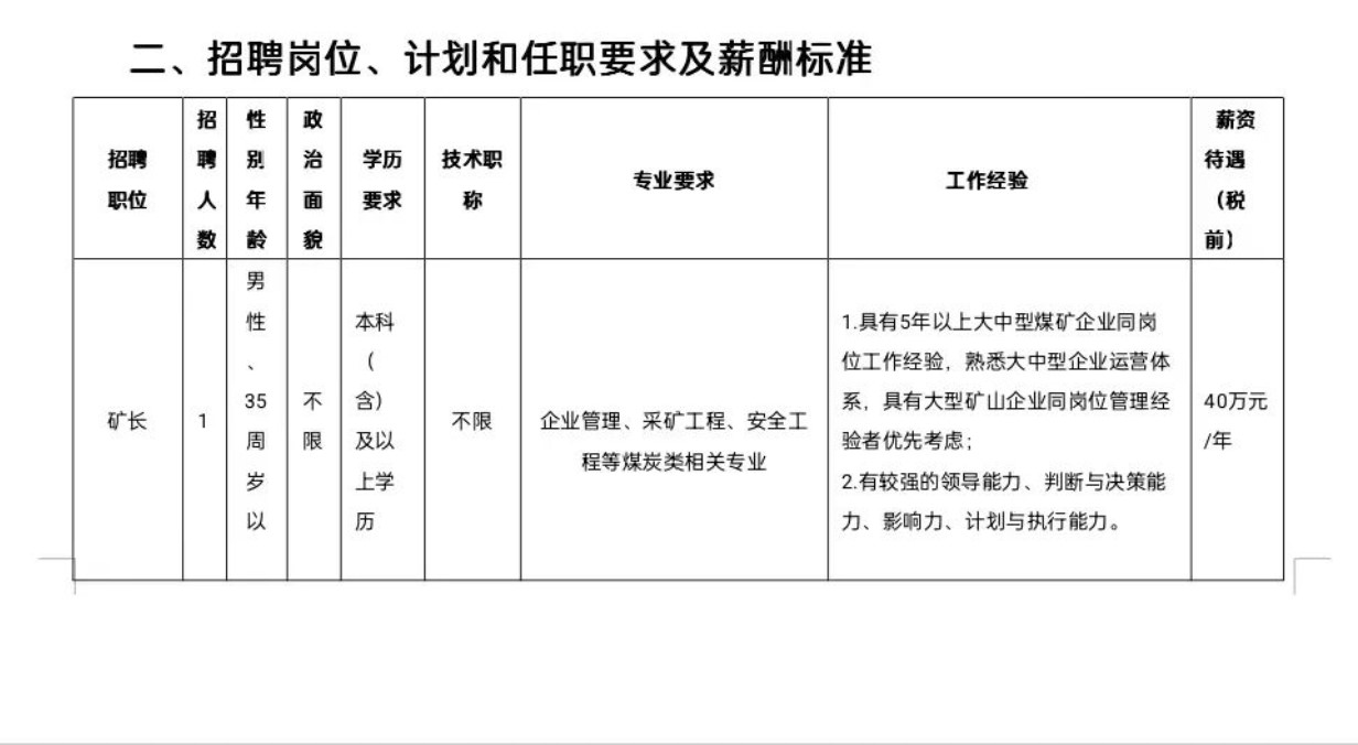 烏海市城市建設(shè)投資集團(tuán)有限責(zé)任公司五虎山井田南部采空區(qū)災(zāi)害綜合治理項(xiàng)目公開招聘項(xiàng)目工作人員