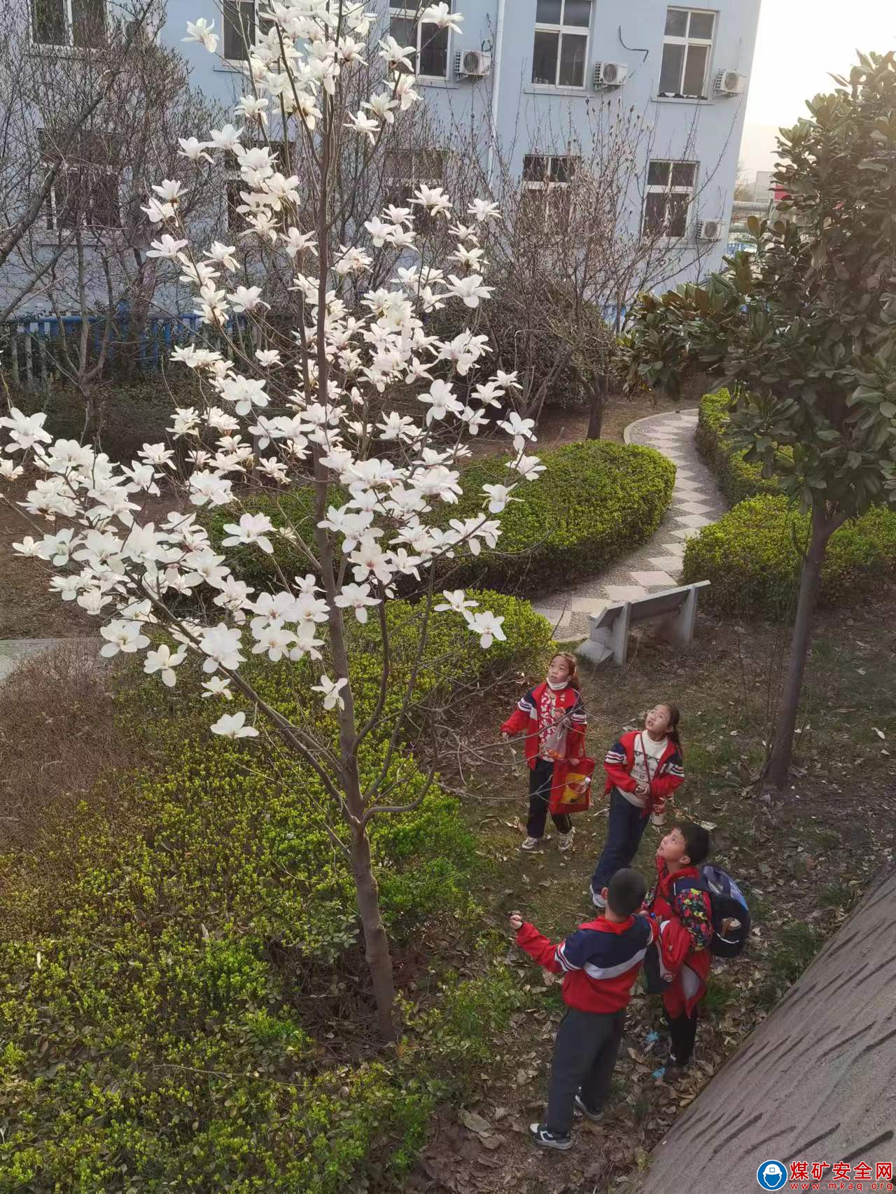 河南能源義煤集團石壕煤礦：春到礦區(qū)惹人醉