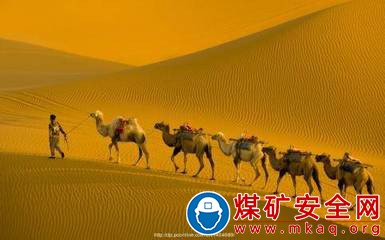 父親的身影 作者：王立杰        深秋傍晚的鄉(xiāng)間小路，六點(diǎn)鐘后就被黑暗籠罩，路旁的灌木搖曳著黑色的影子。偶爾會(huì)有螢火蟲(chóng)在星空一掠而過(guò)。悠悠的 ，靜靜的，靜謚安祥。襯著這秋夜，更讓兒時(shí)的我覺(jué)得思緒